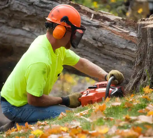 tree services Martin's Additions